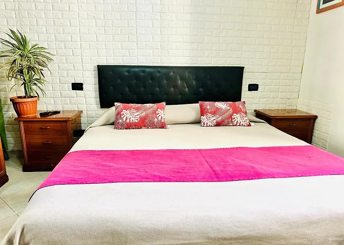 The Comfort Apartment